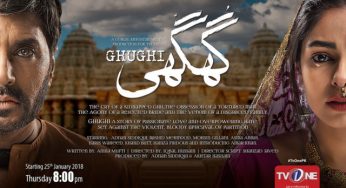 Ghughi Episode 20 review: High on emotions!