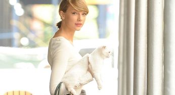 “Cats” film adaptation to feature Taylor Swift in major acting role