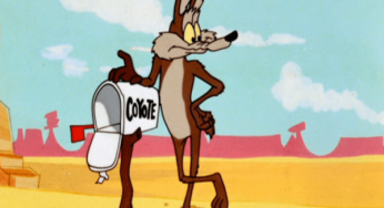 Looney Tunes’s Wile E. Coyote is getting his own movie!