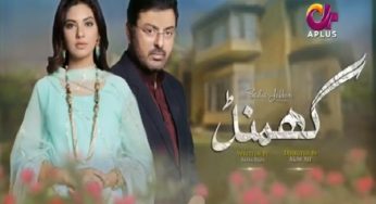 Ghamand – Episode 15 Review