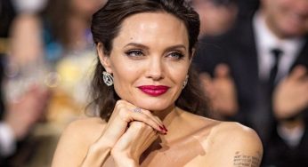 Angelina Jolie hints at moving into politics