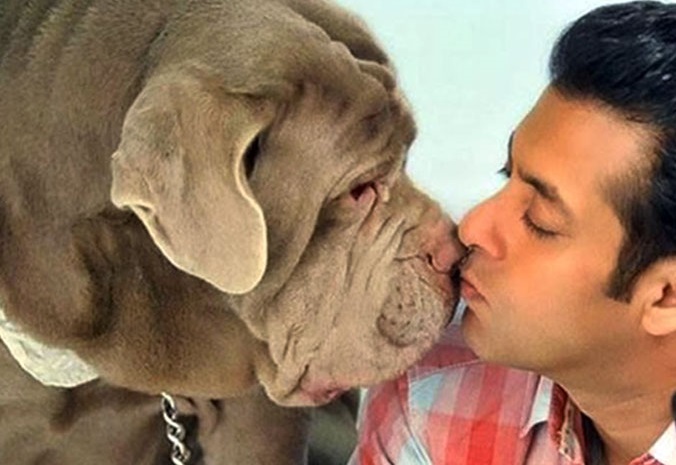 Salman Khan’s dog ‘My Love’ dies leaving him extremely heartbroken