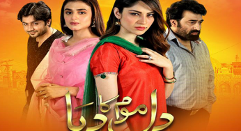 Dil Mom Ka Diya Episode 21 Review: Tankinat is paying for Ulfat’s sins