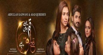 Tum Se Hi Taluq Hai-Last Episode Review