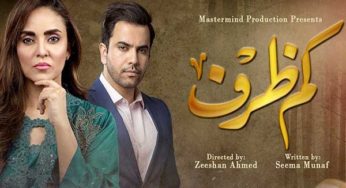 Kamzarf drama review: A strong storyline with easy entertainment