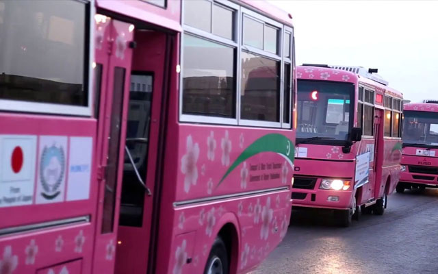 pink-bus