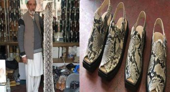 Peshawar Shoemaker pays Rs 50,000 fine for making python leather shoes