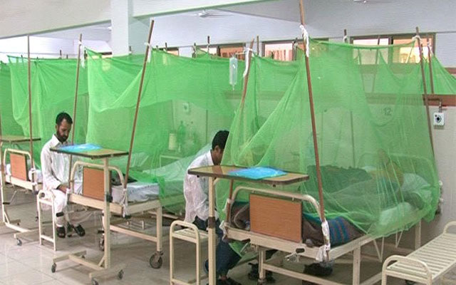 dengue-cases
