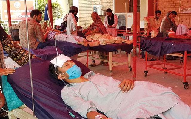 133 new dengue cases reported in Punjab, making tally 3,709 for this year