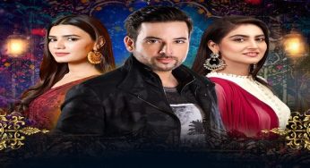 Ramz e Ishq Episode 8 Review: Roshini surrenders to all the pressure and attempts suicide