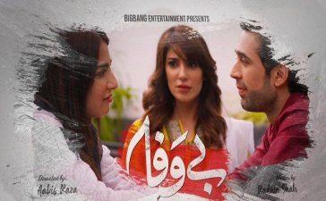 Bewafa Episode-5 Review - Shireen is playing her cards very smartly