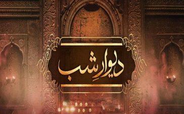Drama - Deewar e Shab Episode-19 Review