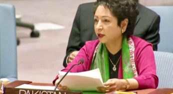 Maleeha Lodhi responds to all Twitter messages she receives as her tenure at UN comes to an end