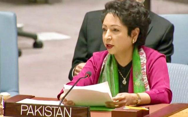 Maleeha Lodhi responds to all Twitter messages she receives as her tenure at UN comes to an end