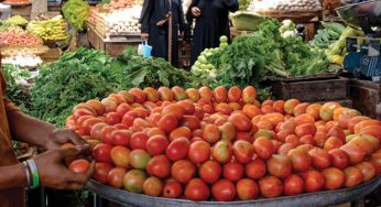 Tomato price hits record high in Karachi being sold at Rs 400 kg