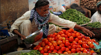 Triple century for Love Apples! Tomato prices reach record high in history of Karachi