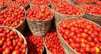 Government allows tomatoes import from Iran to regulate prices