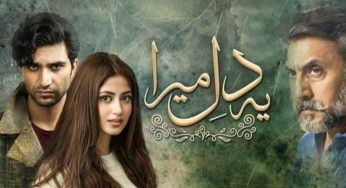 Ye Dil Mera Episode-3 Review: Noor has a heavy crush on Amaan