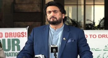 Shehryar Afridi to take Rana Sanaullah’s case to logical end