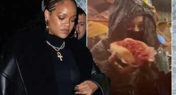 Rihanna Dodges Fans and Media as She Covers Her Face in Winter Wonderland 