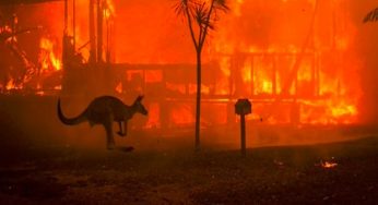 #BushfireAustralia: Celebrities express concern over raging climate conditions