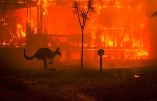 Bushfire Australia