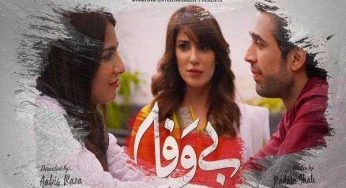 Bewafa Episode 20 Review: Aahan slaps Kinza hard in front of Shireen