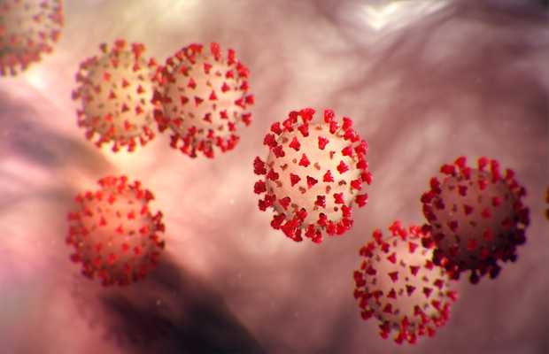 Pakistan’s coronavirus cases rise to 296