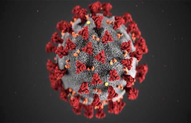 Punjab reports 102 more coronavirus cases, taking tally to 1,918