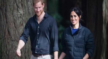 Meghan Markle and Prince Harry Disturbed by Paparazzi Drones Over Their LA Mansion