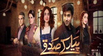 Pyar Ke Sadqey Episode-18 Review: Abdullah once again falls for Shanzay