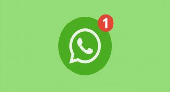 WhatsApp’s last seen, online status malfunctions is fixed!