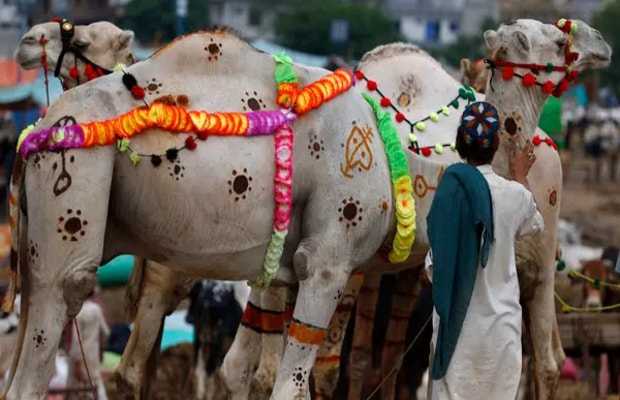 Sindh govt. extends Eid-ul-Adha holiday by one day