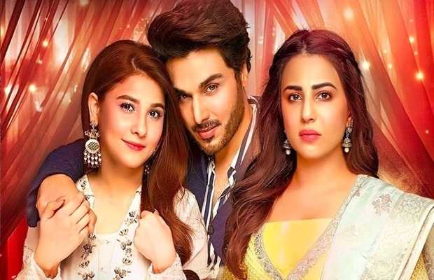 Bandhay Ek Dour Se Ep-6 Review: Serial which initially seems like comedy of errors is now getting intense