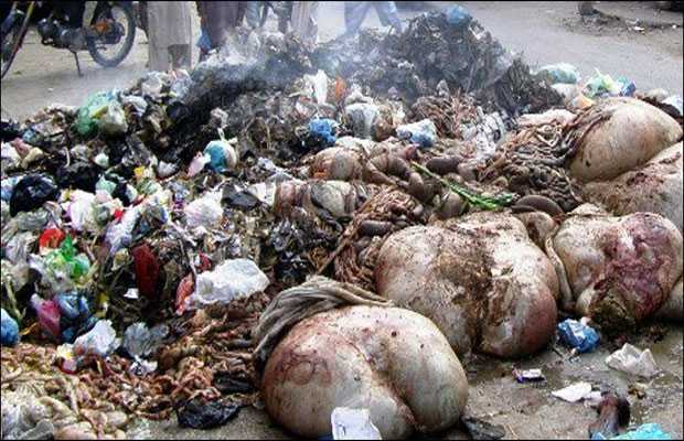 Sindh govt. imposes ban on dumping animal waste near airports