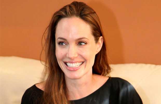 Angelina Jolie custody case