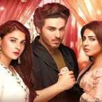 Bandhay Ek Dour Se Ep-9 Review: Omar is trying hard to accept Maheen as his wife