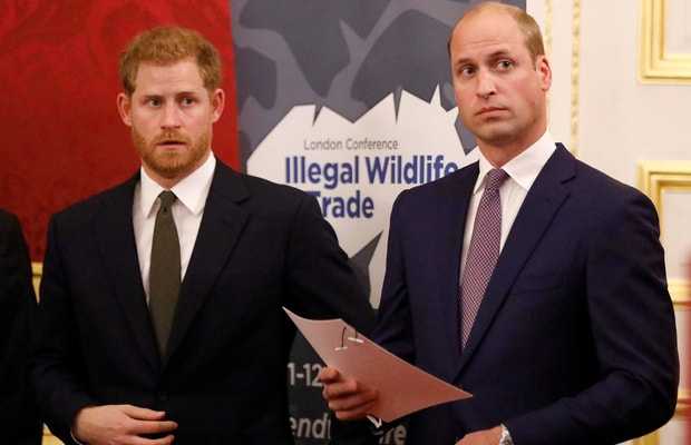 Prince William And Harry