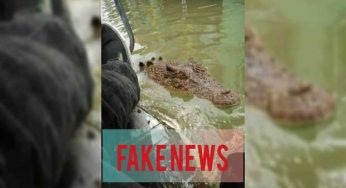 Crocodiles Escaping Manghopir Shrine Was a Hoax, Wildlife Department Confirms