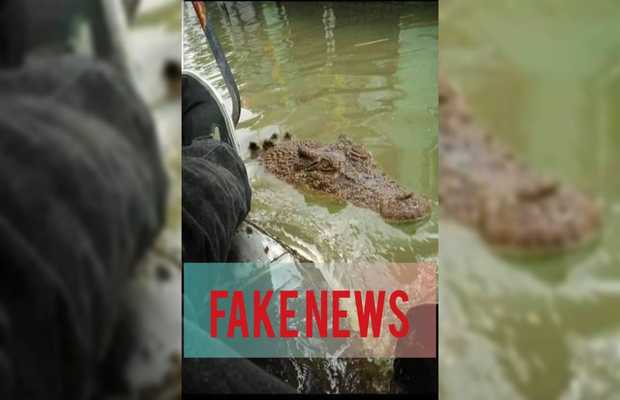 Crocodiles Escaping Manghopir Shrine Was a Hoax, Wildlife Department Confirms