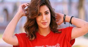 Mehwish Hayat claps back to Indian media accusations