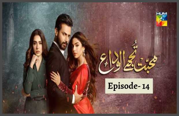 Mohabbat Tujhe Alvida Episode 14 Review