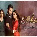 Mohabbat Tujhe Alvida Ep-12 Review: Shahaan happily marries Shafaq