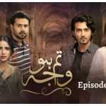Tum Ho Wajah Episode 19 Review: Shahab is ready to leave Chanda and marry Sana