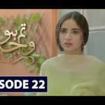 Tum Ho Wajah Episode 22 Review: Shahab gets engaged with Sana