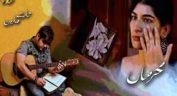 Haris Haroon’s Meherma is a musical tale of love and loss