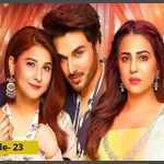 Bandhay Ek Dour Se Episode-23 Review: Poor Maheen is bearing all the blame