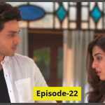 Bandhay Ek Dour Se Episode 22 Review: Maheen is taking all blame on herself