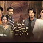 Tum Ho Wajah Episode-23 Review: Wajid Sahab wants to marry Sitara
