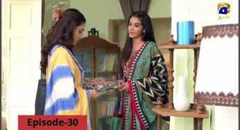 Meher Posh Episode 30 Review: Ayat is trying hard to win Shah Jahan